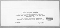 Image Associated With the Occurence